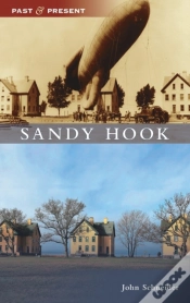 Capa do artigo Sandy Hook