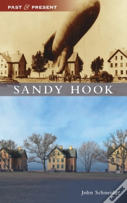 Capa do artigo Sandy Hook