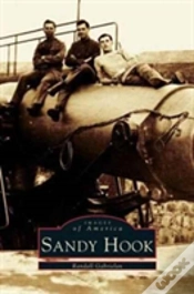 Capa do artigo Sandy Hook