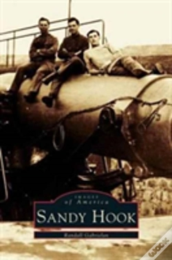 Capa do artigo Sandy Hook