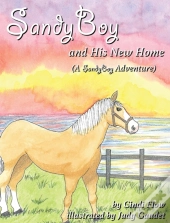 Sandyboy And His New Home  A Sandyboy Ad