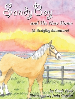 Capa do artigo Sandyboy And His New Home  A Sandyboy Ad
