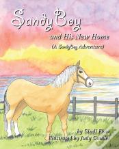 Sandyboy And His New Home (A Sandyboy Adventure)