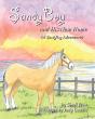 Sandyboy And His New Home (A Sandyboy Adventure) - Preview