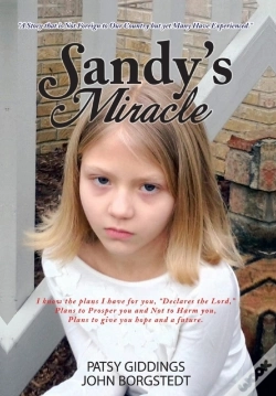 Capa do artigo Sandy'S Miracle