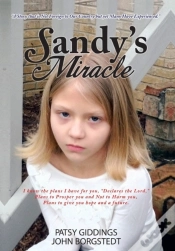 Capa do artigo Sandy