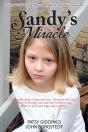 Sandy'S Miracle - Preview