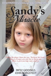 Capa do artigo Sandy