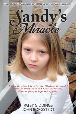Capa do artigo Sandy'S Miracle