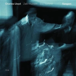Capa do artigo Sangam - CD