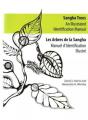 Sangha Trees - Preview