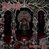 Capa do artigo Sanguine Vigil - CD