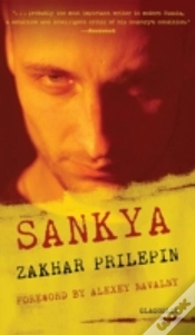 Capa do artigo Sankya