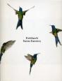 Sanna Kannisto: Fieldwork - Preview