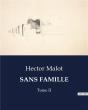 Sans Famille - . - Preview