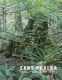 Sant Khalsa - Preview