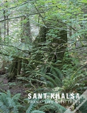 Capa do artigo Sant Khalsa