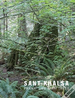 Capa do artigo Sant Khalsa