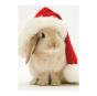 Santa Bunny Notecards - Preview
