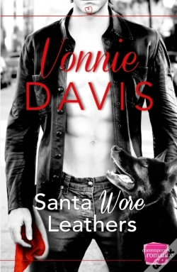 Capa do artigo Santa Wore Leathers