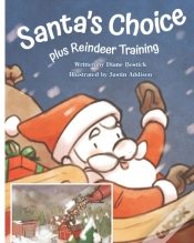 Capa do artigo Santa