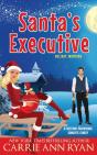 Santa'S Executive - Preview