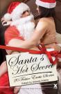 Santa'S Hot Secrets - Preview