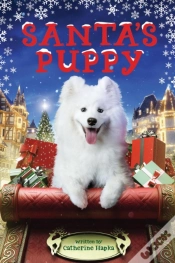 Capa do artigo Santa