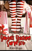 Santa'S Stocking Surprise