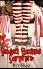 Santa'S Stocking Surprise - Preview