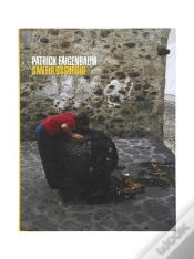Capa do artigo Santulussurgiu