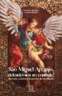 São Miguel Arcanjo, Defendei-Nos No Combate! - Preview