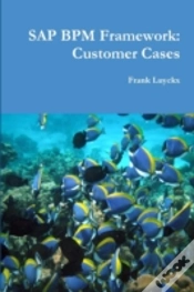 Capa do artigo Sap Bpm Framework: Customer Cases