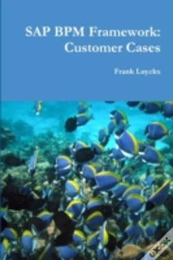 Capa do artigo Sap Bpm Framework: Customer Cases