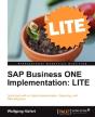 Sap Business One Implementation - Preview