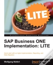 Capa do artigo Sap Business One Implementation