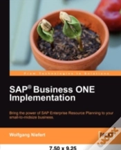 Capa do artigo Sap Business One Implementation