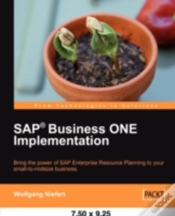 Capa do artigo Sap Business One Implementation