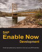 Sap Enable Now Development - Preview
