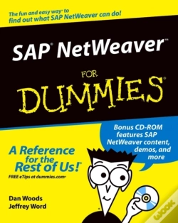 Capa do artigo Sap Netweaver For Dummies