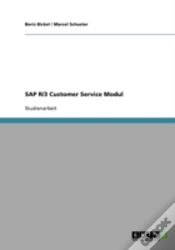 Capa do artigo Sap R/3 Customer Service Modul