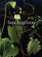 Sara Angelucci: Undergrowth / Brousailles - Preview