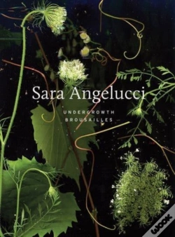 Capa do artigo Sara Angelucci: Undergrowth / Brousailles