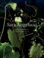 Sara Angelucci: Undergrowth / Brousailles - Preview