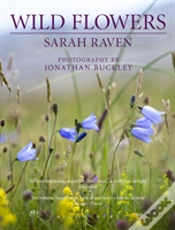 Capa do artigo Sarah Raven