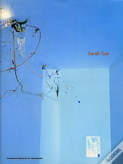 Capa do artigo Sarah Sze