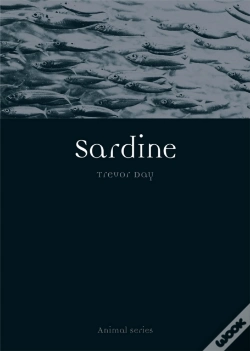 Capa do artigo Sardine