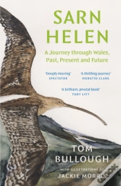 Capa do artigo Sarn Helen