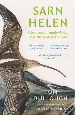 Capa do artigo Sarn Helen