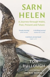 Capa do artigo Sarn Helen